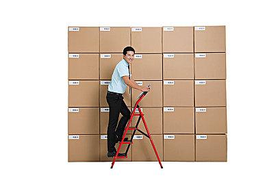 《三国志8重制版》曹操和赵云角色介绍 子龙一身是胆